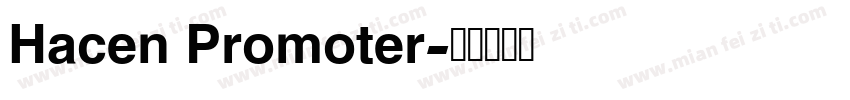 Hacen Promoter字体转换